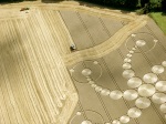 Harvesting a crop circle in Wiltshire