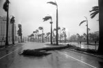 Biscayne Boulevard, Miami amid hurricane Betsy, August 1965