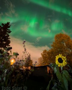 Shifing aurora borealis erupt over Anchorage AK 9/19/15 at height of CME storm